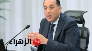 بشرى جديدة.. الحكومة تعلن رسميا إنشاء 3 مناطق حرة صناعية في مصر 1